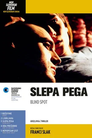 Постер: Blind Spot