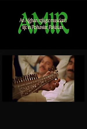 Постер: Amir: An Afghan Refugee Musician's Life in Peshawar, Pakistan
