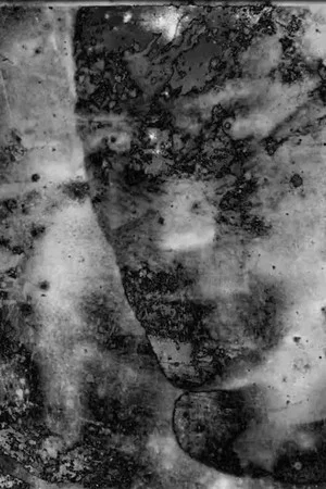 Постер: Lost Photons