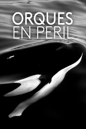 Постер: Orques en péril