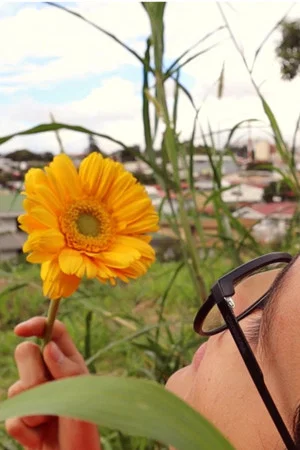 Постер: Pétalos del sol