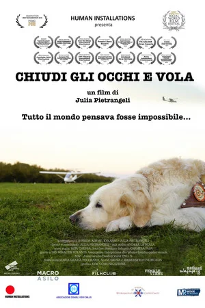 Постер: Chiudi gli occhi e vola
