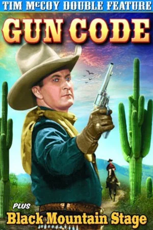 Постер: Gun Code