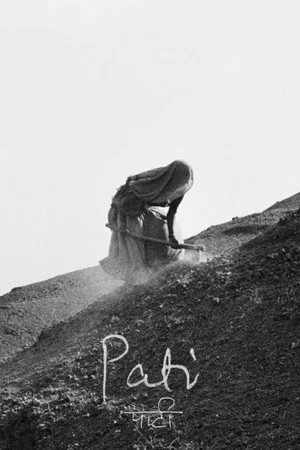 Постер: Pati