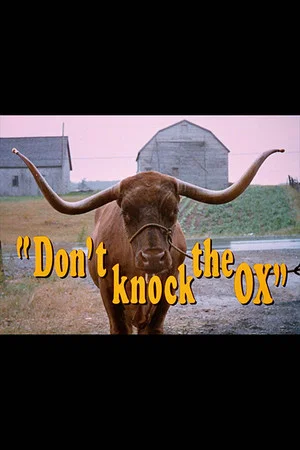 Постер: Don't Knock the Ox