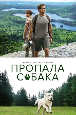Постер: Пропала собака
