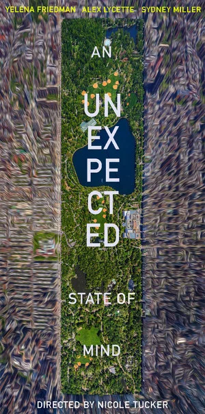 Постер: An Unexpected State of Mind