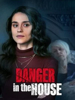 Постер: Danger in the House