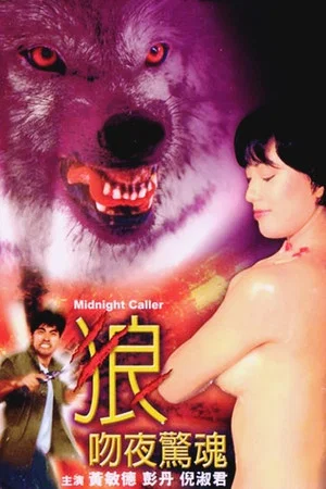 Постер: Midnight Caller