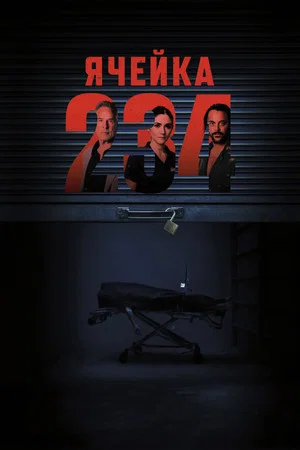 Постер: Ячейка 234