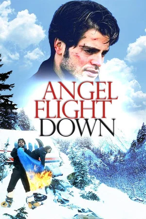 Постер: Angel Flight Down