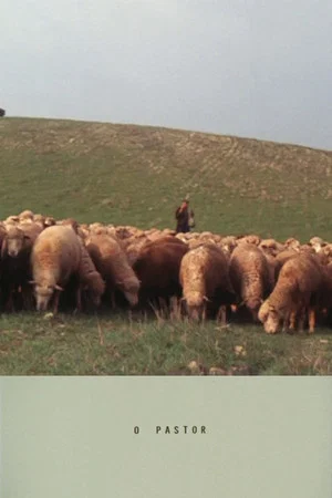 Постер: The Shepherd