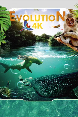 Постер: Evolution 4K