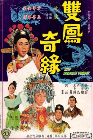 Постер: The Female Prince