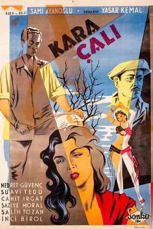 Постер: Kara Çalı