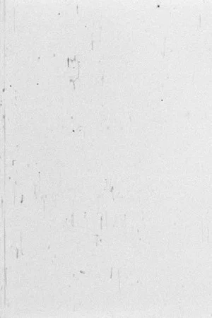 Постер: White