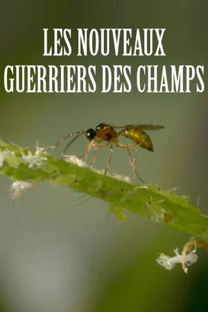 Постер: Les nouveaux guerriers des champs