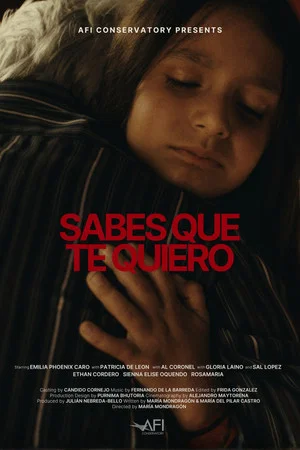 Постер: Sabes Que Te Quiero