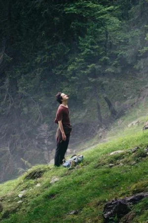 Постер: Der Wanderer