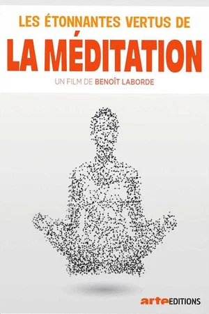 Постер: Les étonnantes vertus de la méditation