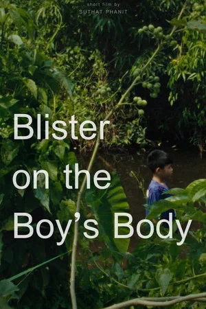 Постер: Blister on the Boy’s Body