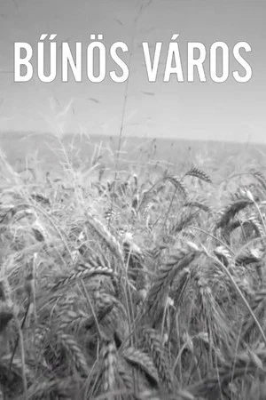 Постер: Bűnös Város