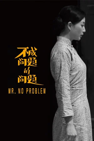 Постер: Mr. No Problem