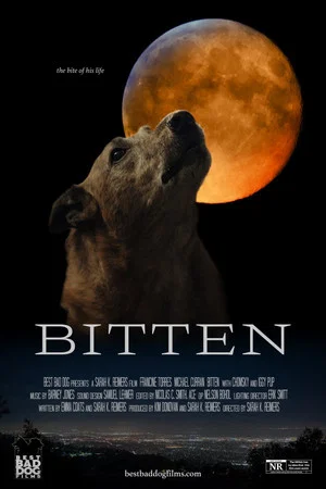 Постер: Bitten