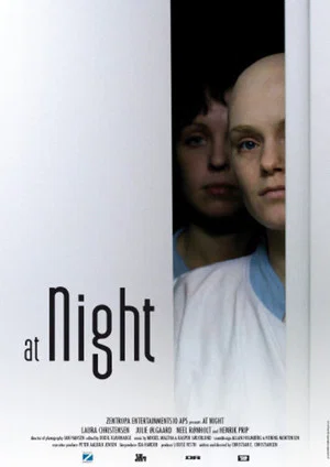 Постер: At Night