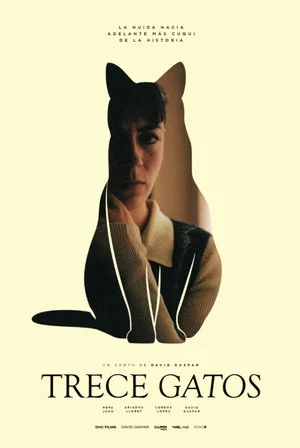 Постер: Thirteen Cats