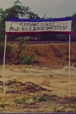 Постер: Toxic Town