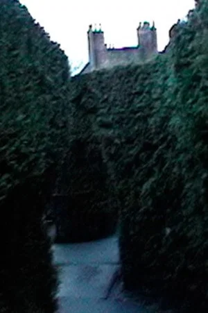 Постер: Path