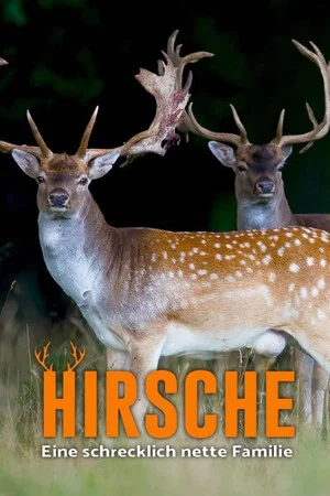 Постер: Hirsche - Eine schrecklich nette Familie
