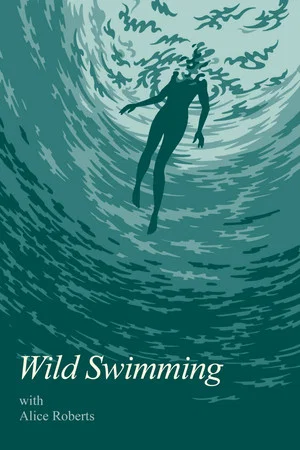 Постер: Wild Swimming