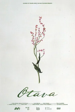 Постер: Otava