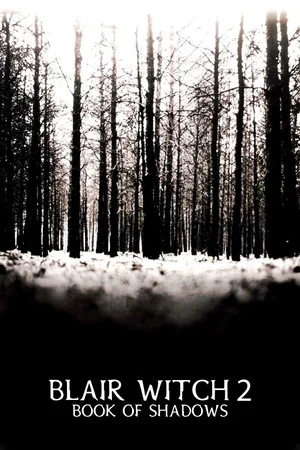 Постер: Ведьма из Блэр 2: Книга теней