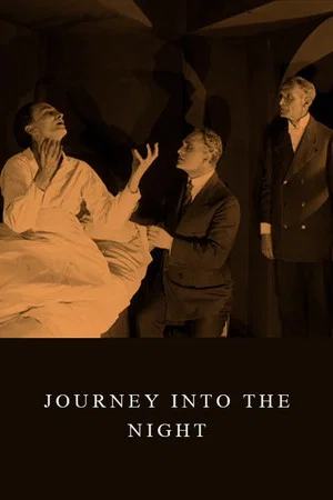 Постер: Journey into the Night
