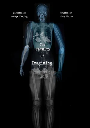 Постер: The Faculty of Imagining