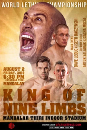 Постер: World Lethwei Championship 9