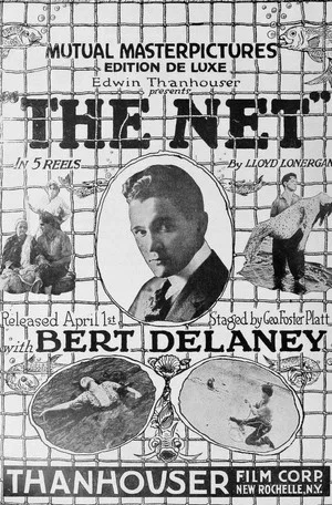 Постер: The Net
