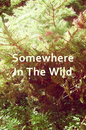 Постер: Somewhere in the Wild