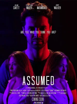 Постер: Assumed