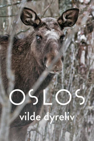 Постер: Oslo – The Wild Heart of Norway