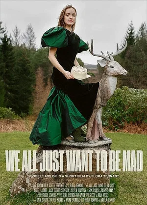 Постер: We All Just Want to Be Mad