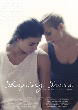 Постер: Shaping Scars