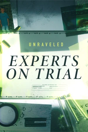 Постер: Unraveled: Experts on Trial