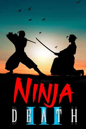 Постер: Ninja Death 3
