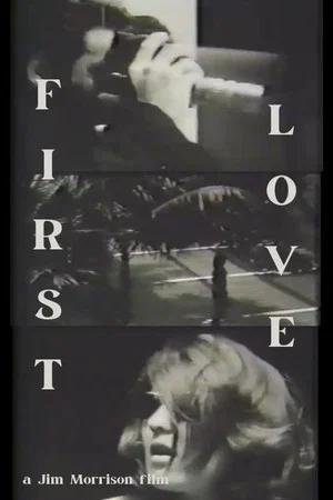 Постер: First Love