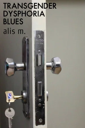 Постер: Transgender Dysphoria Blues