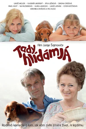 Постер: Tady hlídám já